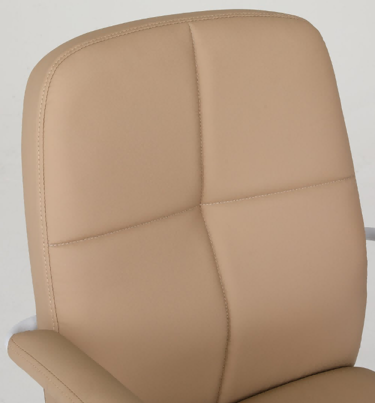 back cushion-2.png