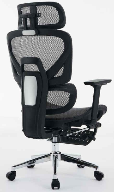 ergonomic mesh chair.png