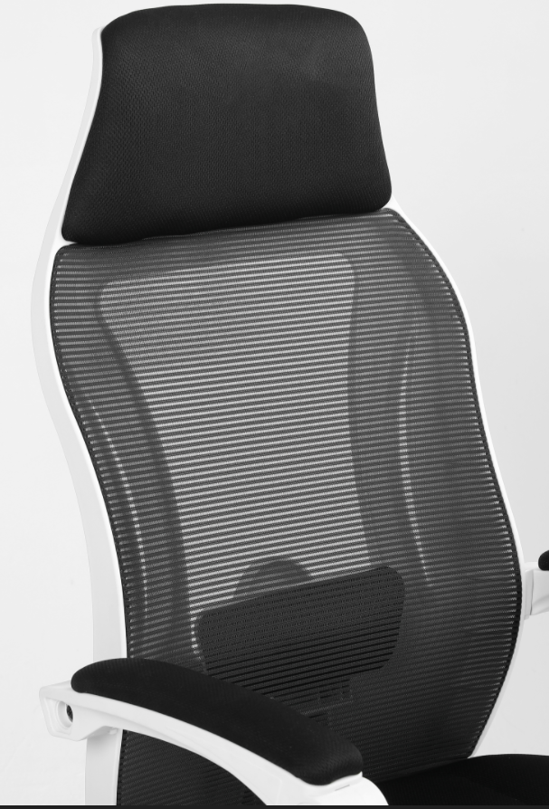 mesh back